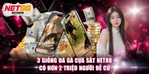 đá gà cựa sắt