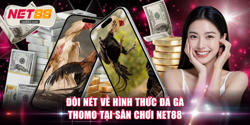 Đôi nét về hình thức đá gà Thomo tại sân chơi NET88