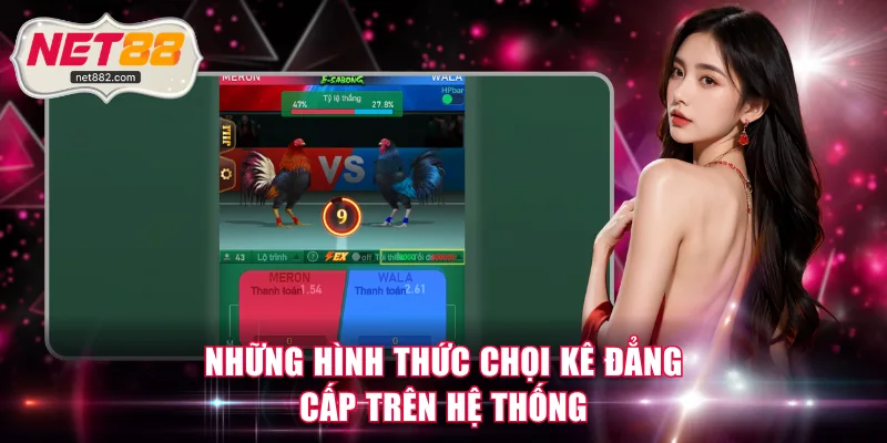 Những hình thức chọi kê đẳng cấp trên hệ thống