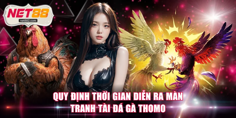 Quy định thời gian diễn ra màn tranh tài đá gà Thomo