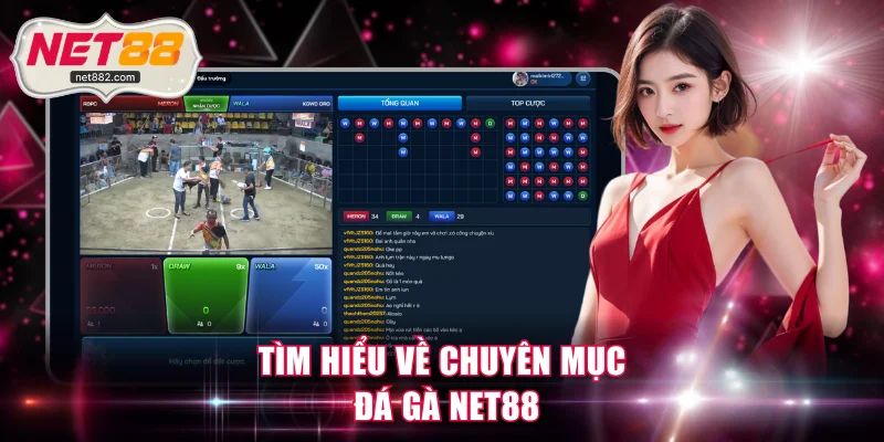 Tìm hiểu về chuyên mục Đá gà NET88